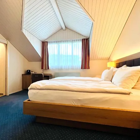 Hotel Hotel Felmis Self Check-In Horw